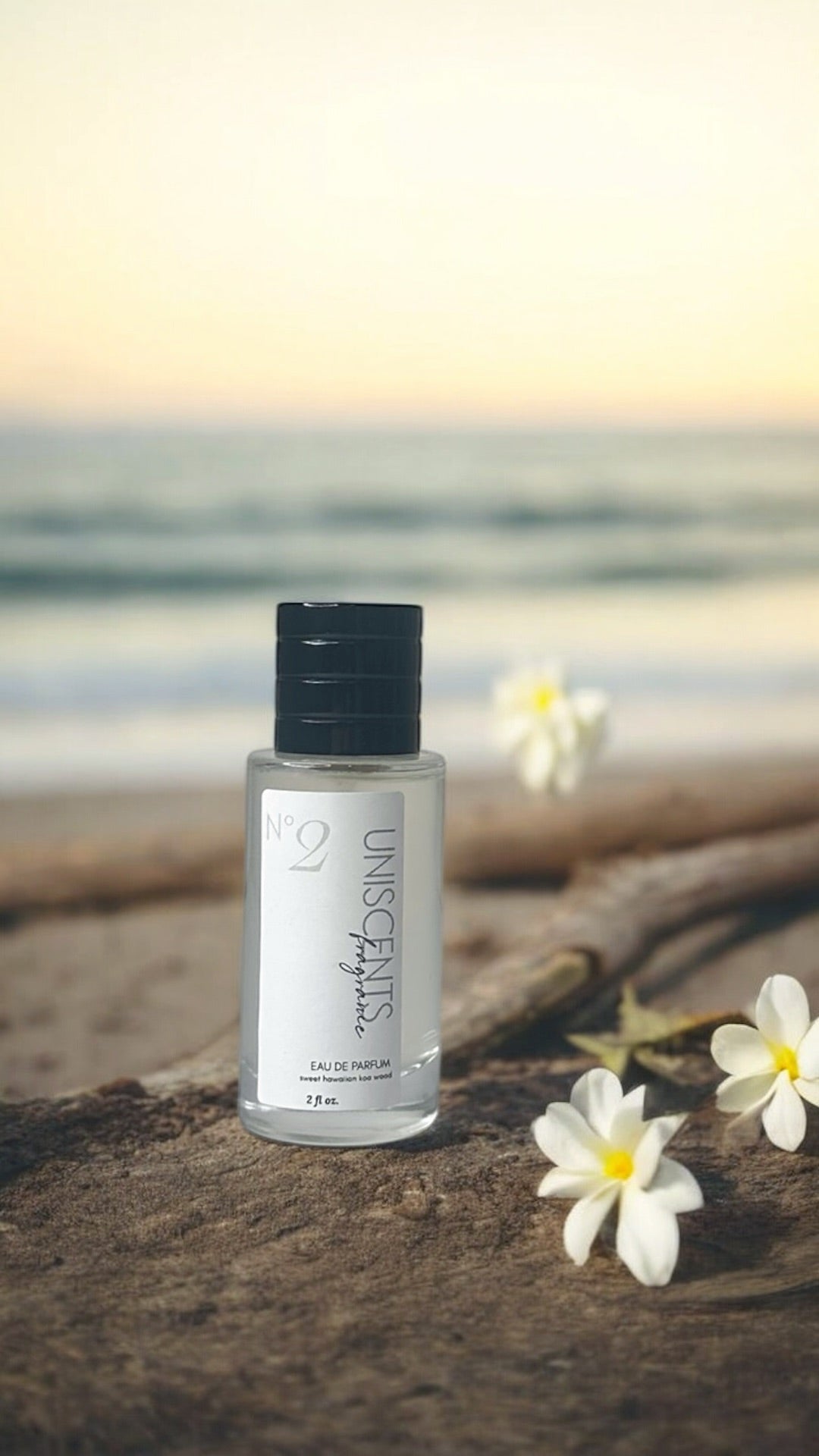 Artisan Perfume & Cologne Spray – 2oz Unisex Fragrance, Gender Neutral - FashionMojos.com