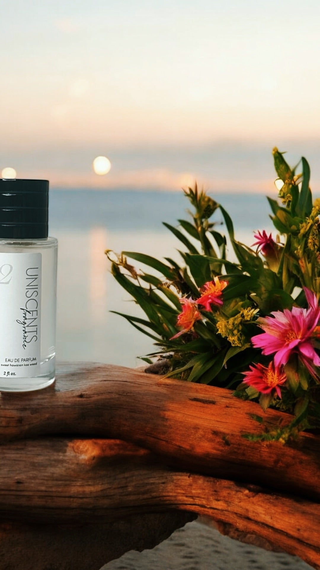 Artisan Perfume & Cologne Spray – 2oz Unisex Fragrance, Gender Neutral - FashionMojos.com