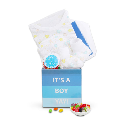 It's A Boy New Baby Gift Basket Alder Creek Gift Baskets