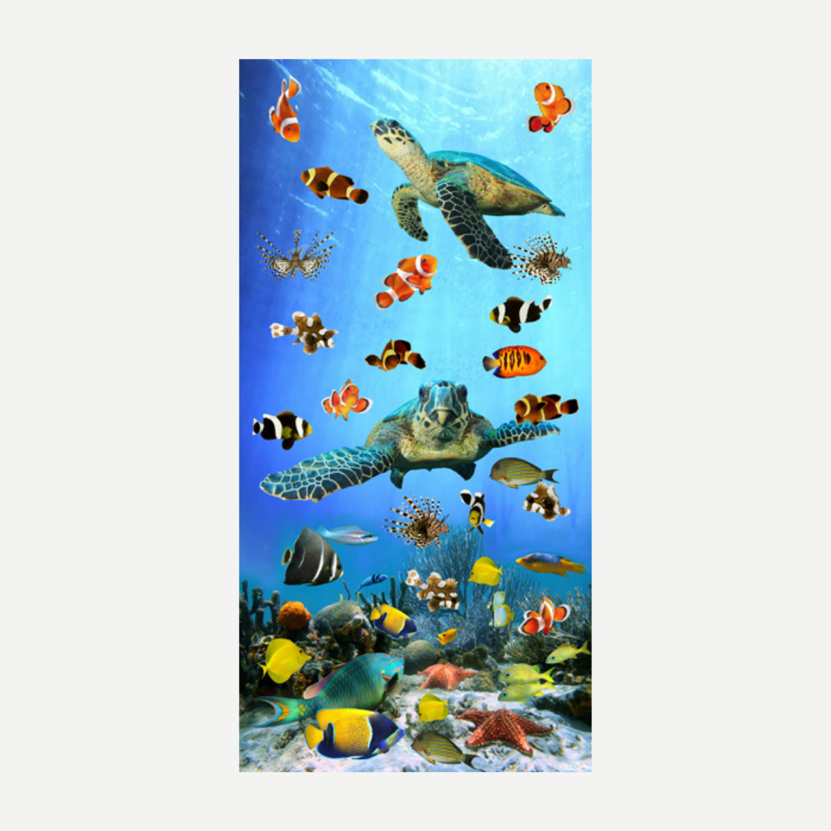 Friendly Swim Beach Towel Towels World